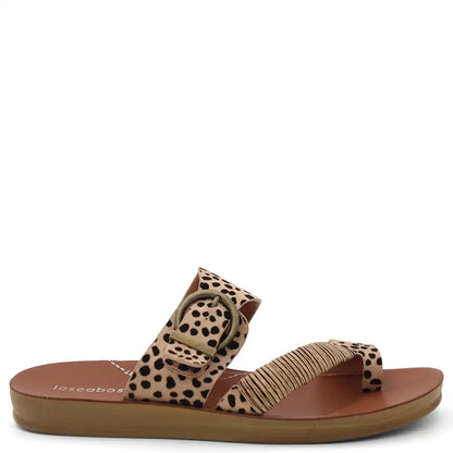 BRIA WOMENS FLAT THONG