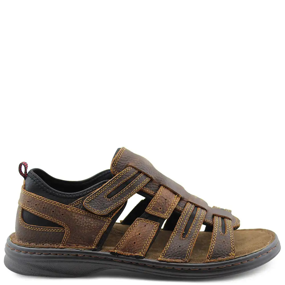 TORRENS MENS SANDAL